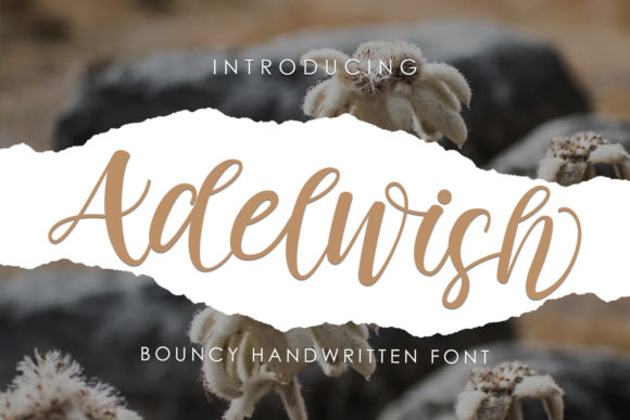 Adelwish: A Friendly Handwritten Font for Branding