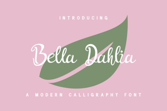 Bella Dahlia: A Designer’s Honest Review