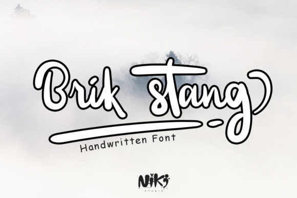 Brik Stang: A Designer’s Honest Review