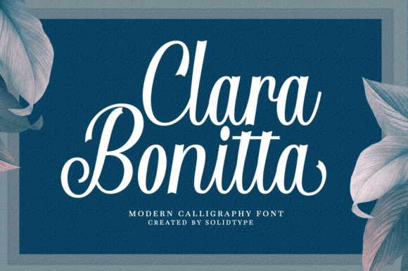 Clara Bonitta Font: Elevating Web Design