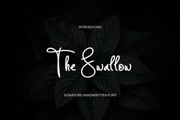 The Swallow Font for Modern Web Design