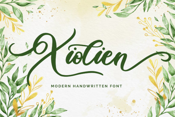 Xiolien: A Designer’s Honest Review of This Elegant Script